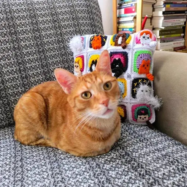 Kedygurumi İnstagram