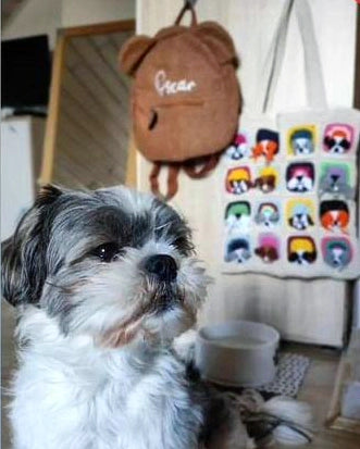 Dog Motif Knitted Bag - Mini Wallet Gift