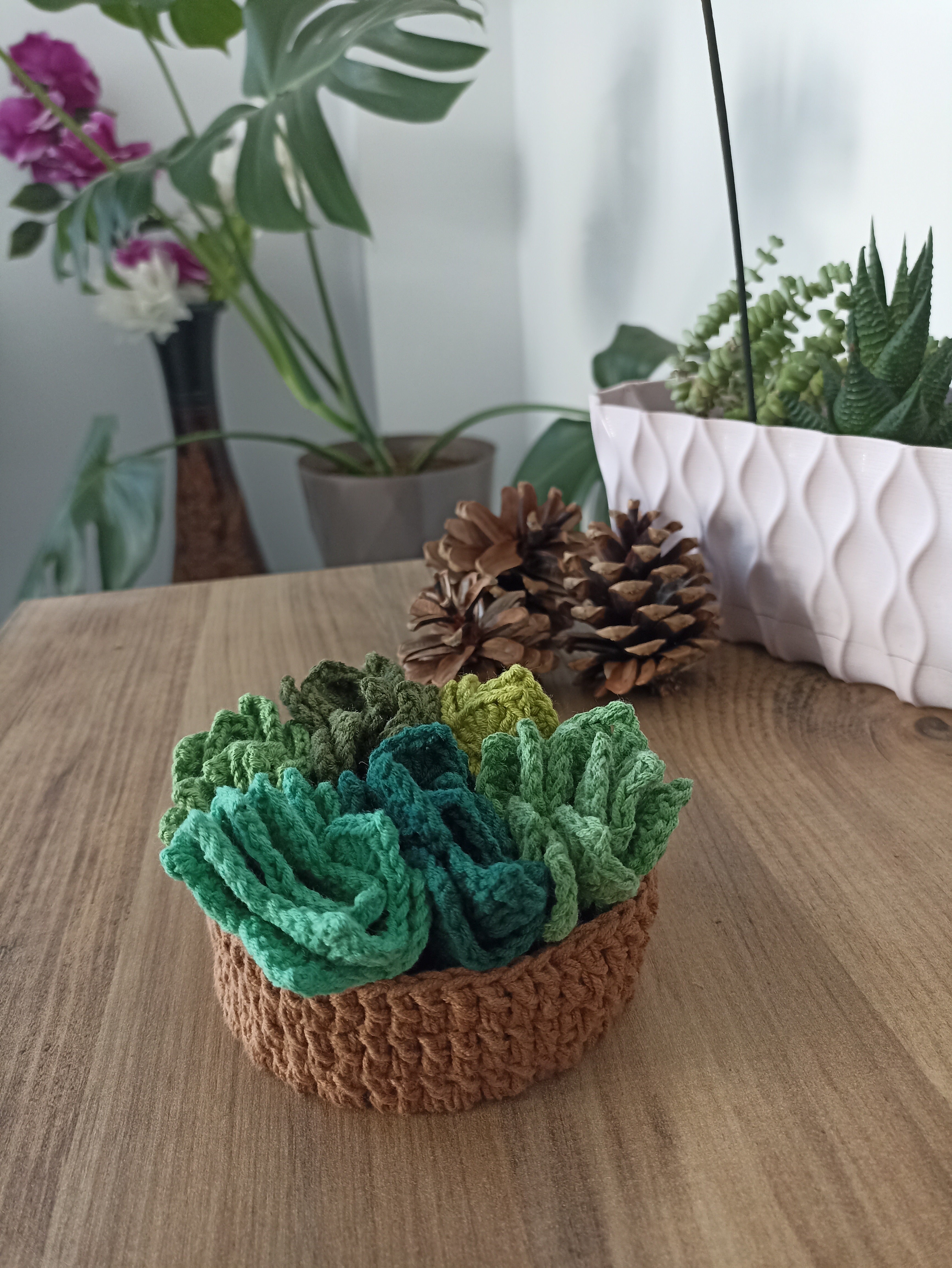 Succulent Garden Knitted Coaster Set – 6 Different Green Shades