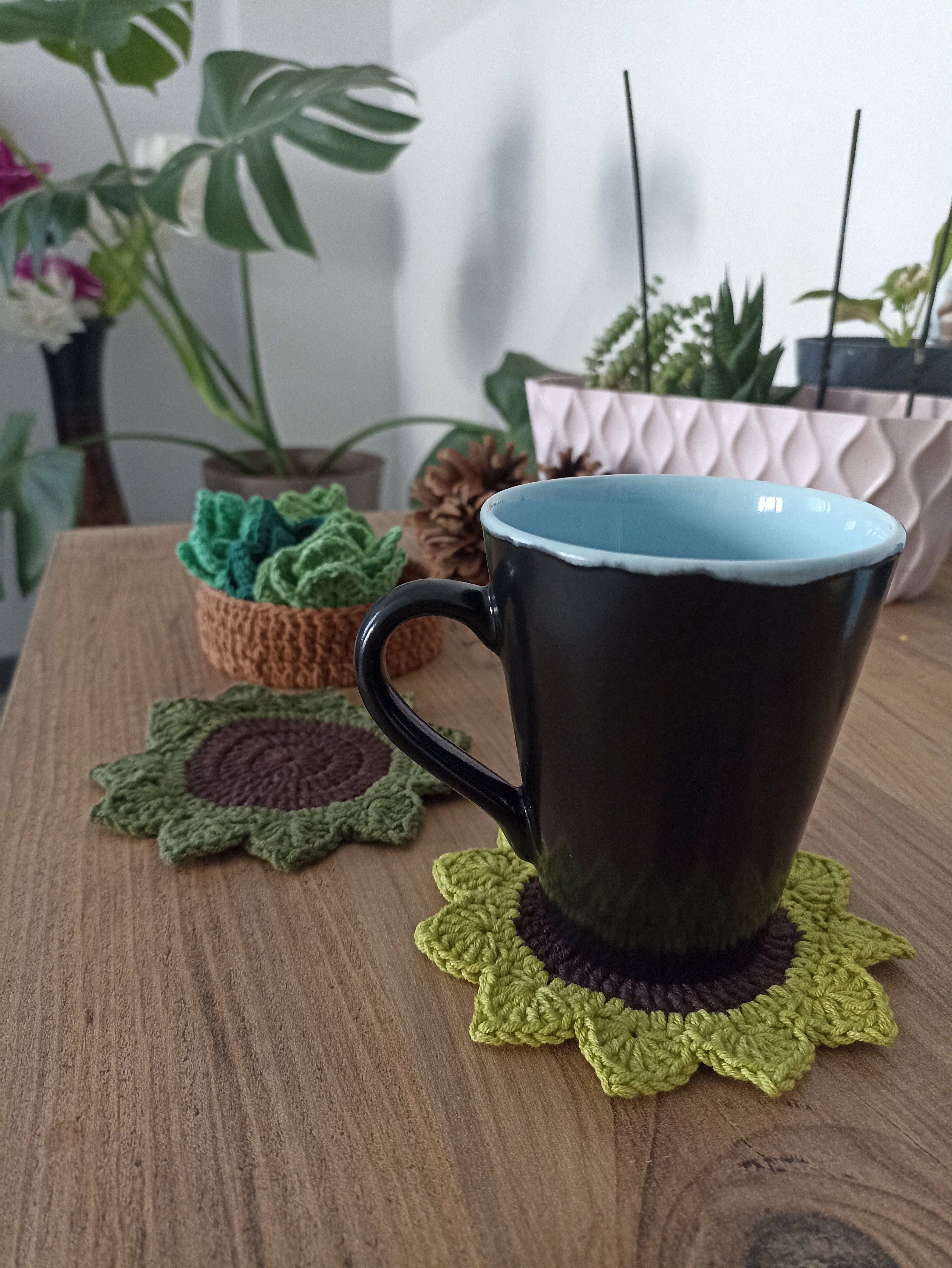 Succulent Garden Knitted Coaster Set – 6 Different Green Shades